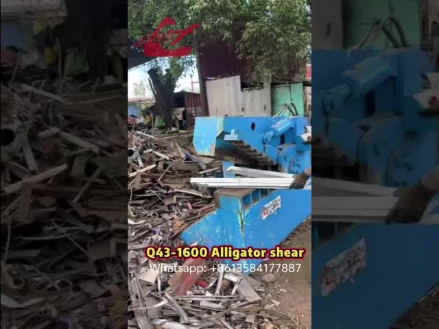 Q43-1600 hydraulic Alligator shear for scrap metal/aluminum cutting working video