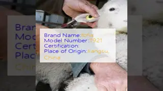 Waterproof Anti-Shedding RFID Ear Tag with 5 Years Guarantee for Animal Identification