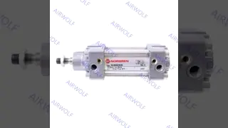 IMI Norgren RA/8032/M/25 RA/8032/M/50 RA/8032/M/80 RA/8032/M/100 Double-Acting Cylinder