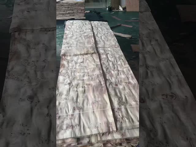 Natural Wood Mappa Burl Veneer Sheet with Sliced Cut and 12-15% Moisture for Furniture Decoration