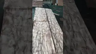 Natural Wood Mappa Burl Veneer Sheet with Sliced Cut and 12-15% Moisture for Furniture Decoration