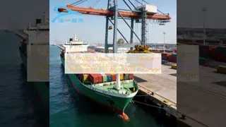 China E-commerce dedicated logistics with automatic order processing supplier