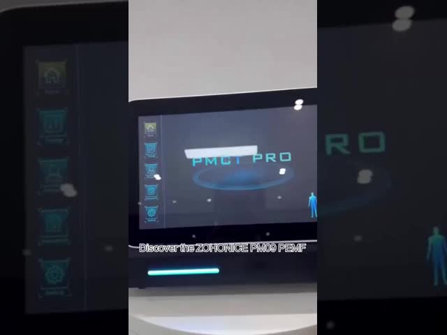 Pmst Loop Pemf Therapy Machine For Human Pain Relief Animals Health Care