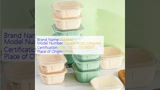 Wholesale Square Plastic Food Containers with Lids for Takeaway, Deli & Meal Prep