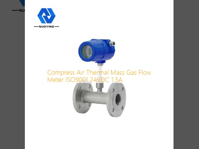 Compress Air Thermal Mass Gas Flow Meter ISO9001 24VDC 1.5A