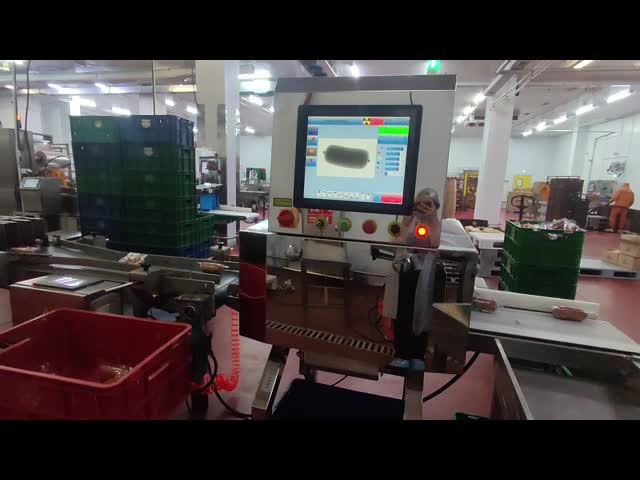 Food Industrial X-ray Inspection System Machine For Probiotic Tablets Health Products Foreign Object Detection