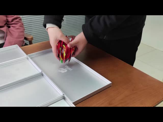 Food Vacuum Home Freeze Drying Machine Freezer Dryer Lyophilizer for 6 Kg