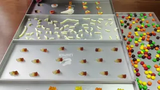 Food Vacuum Home Freeze Drying Machine Freezer Dryer Lyophilizer for 6 Kg