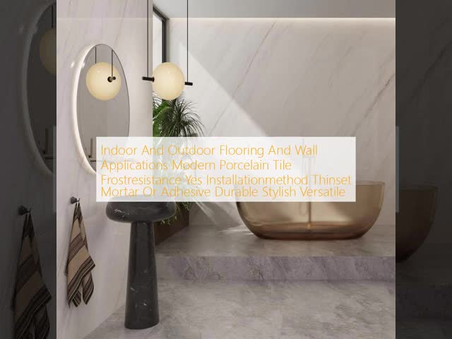 Frost Resistant Modern Porcelain Tile with Low Water Absorption and Stain Resistance for Indoor and Outdoor Use