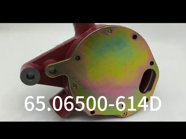 Hi-TTS Water Pump 65.06500-6139C 65.06500-6145D 65.06500-6125 for D1146 Engine Guangdong Made
