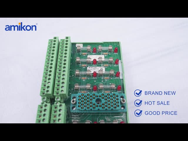 Triconex 9668-110 Termination Board with 16 Independent Relay Outputs Non-Commoned Design