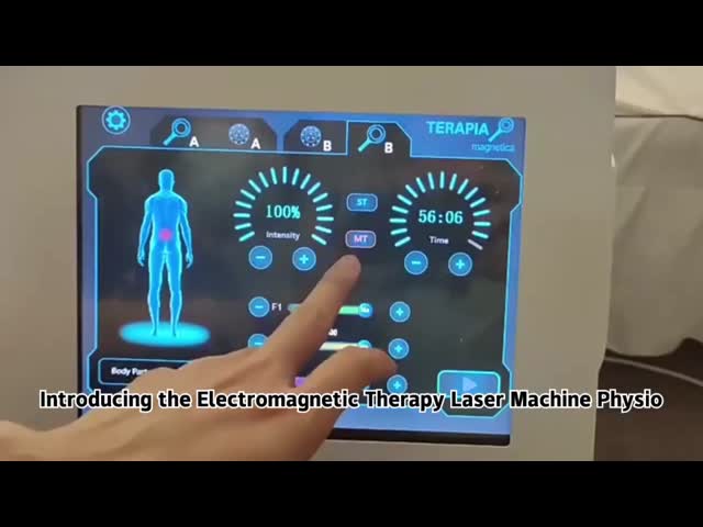 Professional Pulsed Electromagnetic Field Therapy Machine For Pain Relief