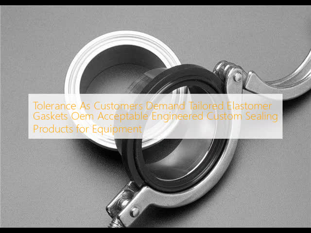 Tolerance As Customers Demand Tailored Elastomer Gaskets Oem Acceptable Engineered Custom Sealing Products for Equipment