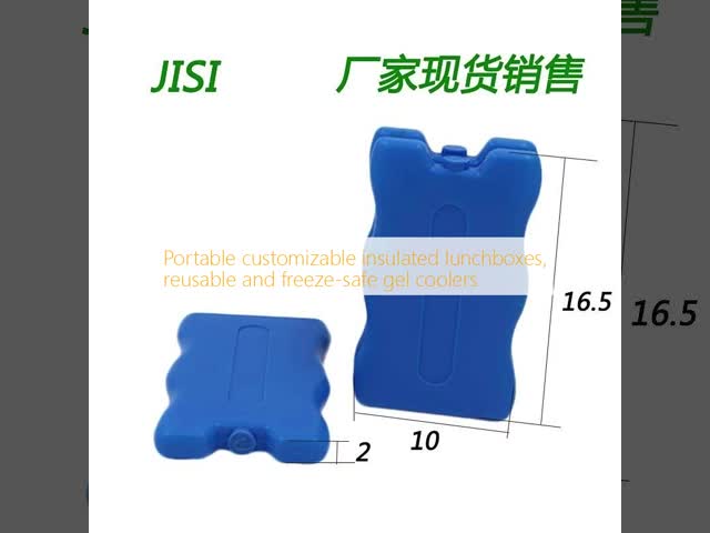 Portable Customizable Insulated Lunchboxes Reusable Freeze Safe Gel Coolers