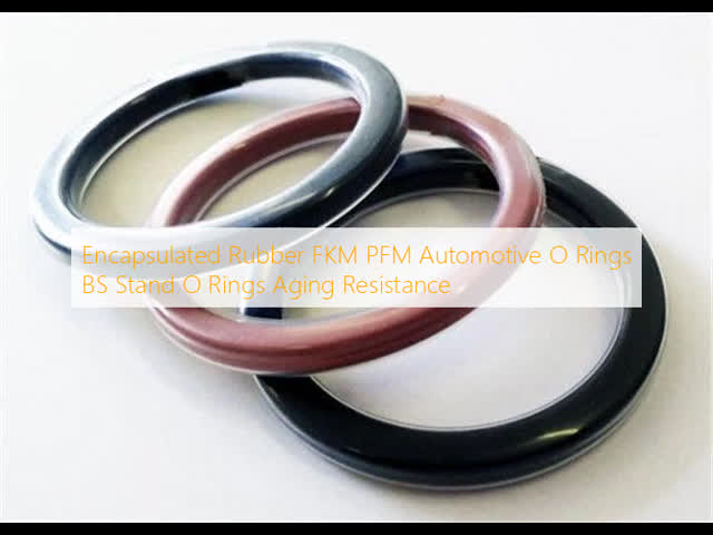 Encapsulated Rubber FKM PFM Automotive O Rings BS Stand O Rings Aging Resistance