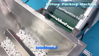 China Dual-Channel Automatic Vision Counting Machine: Zero-Error Hardware Components Packaging supplier