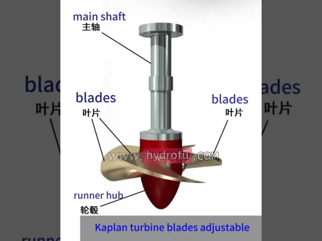 blade rotation of the Kaplan adjustable runner.