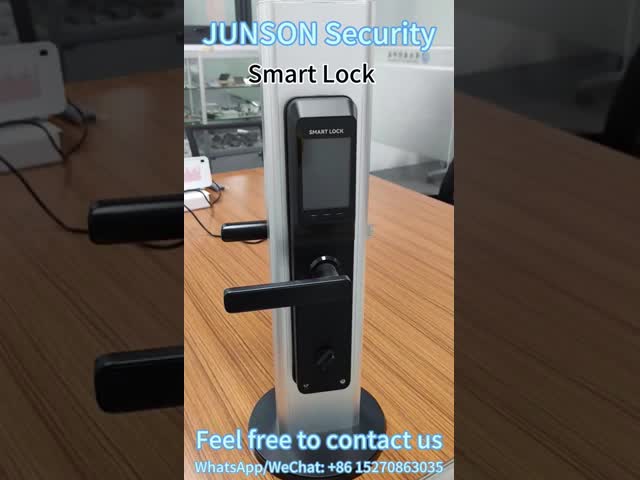 WiFi Electronic Biometric Fingerprint Door Lock Aluminium Alloy With Camera / Tuya App