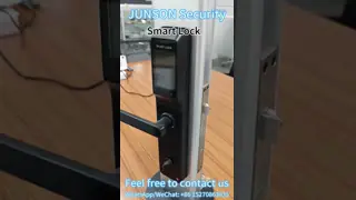 WiFi Electronic Biometric Fingerprint Door Lock Aluminium Alloy With Camera / Tuya App