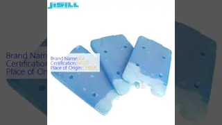 500ml 2-8℃ Reusable Insulated Food Meat Refrigeration Ice Pack For Medical And Outdoor Use Breast Milk Cooling Fan