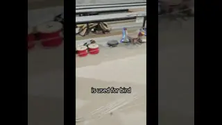 Η εφαρμογή του ανοξείδωτου πλέγματος πτηνών 316 zoo bird