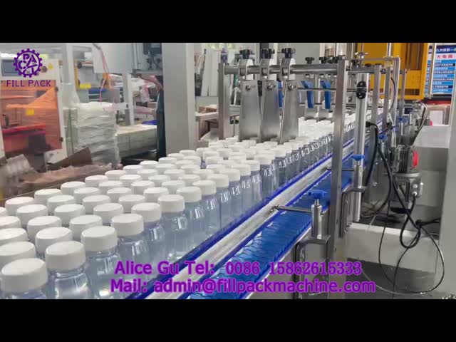 2204 P1 Plastic Bottle Suction-Cup Type Automatic Case Packing Machine