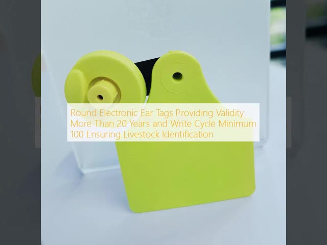 Round Electronic Ear Tags with More Than 20 Years Validity and Minimum 100 Write Cycle for ISO 11784/11785 Compliant Livestock Identification