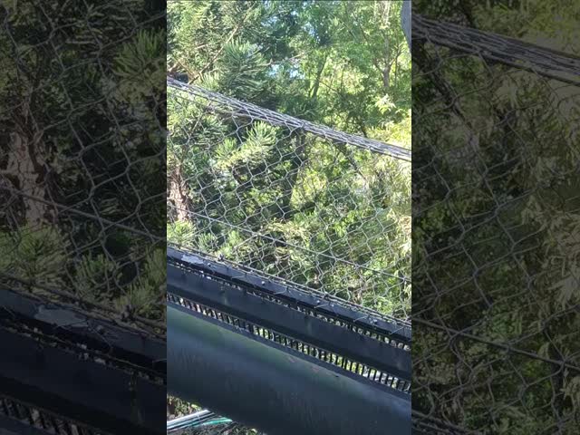 Height Customized Aviary Wire Netting Providing Excellent Performance
