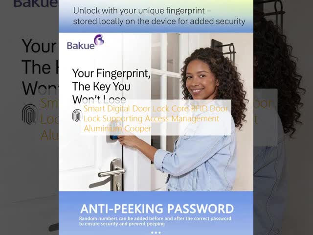 Door Lock Supplier Smart Digital Door Lock Core RFID Door Lock Supporting Access Management Aluminium Cooper