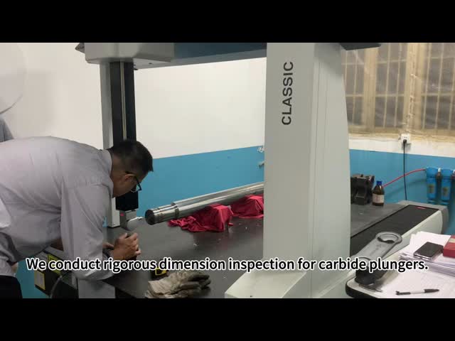 High Precision Carbide Plunger Strict Inspection