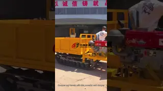 Diesel Engine Farm Mining Hydraulic Track Crawler Mini Dumper Track Transporter 2MT Capacity