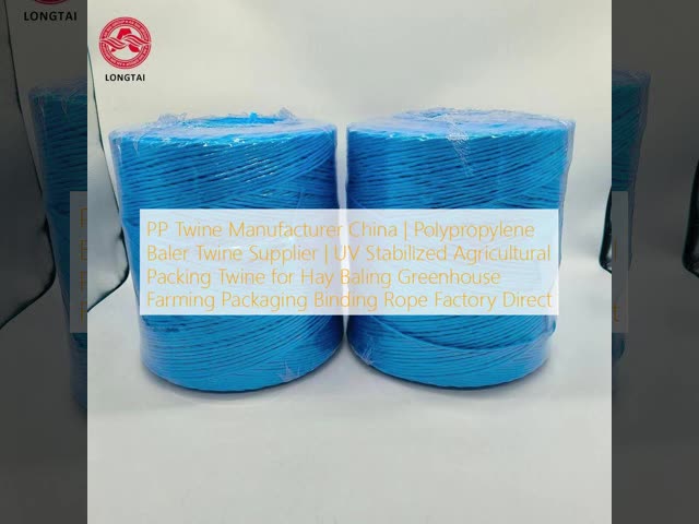 UV Resistant Polypropylene Twine with High Tensile Strength and Lightweight for Agricultural and Packaging Use