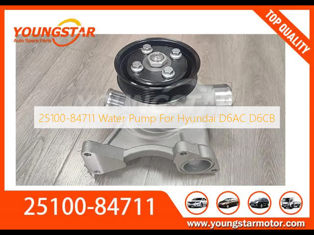 Aluminium Water Pump OEM 25100-84711 for Hyundai D6AC D6CB with 60000kms Guarantee