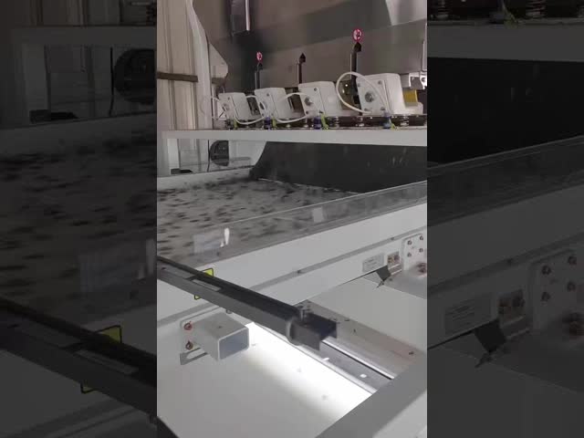 Ai Intelligent Belt-Type Optical Color Sorter For Irregular Materials (Sunflower Seeds)