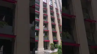 Outdoor Aluminium Retractable Drop Arm Window Awnings