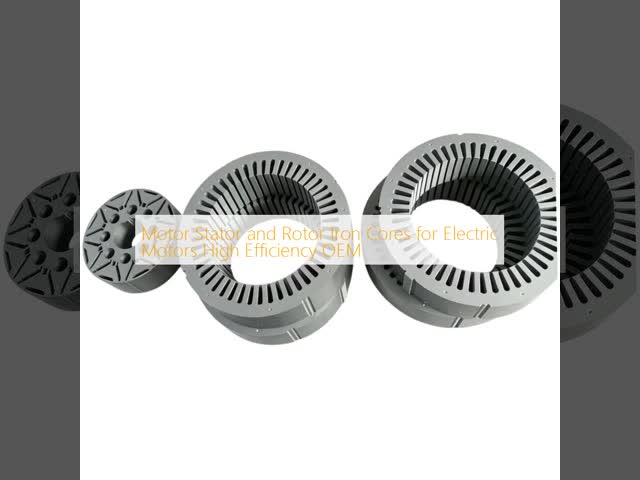 High Efficiency Motor Stator and Rotor Iron Cores with Precision Stamping and Low Core Loss