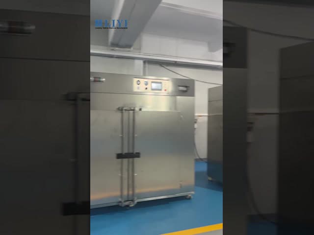 Liyi Customized High Temperature Big Curing Oven Hot Air Circulating Laboratory Heating Oven Industrial Drying Oven Price