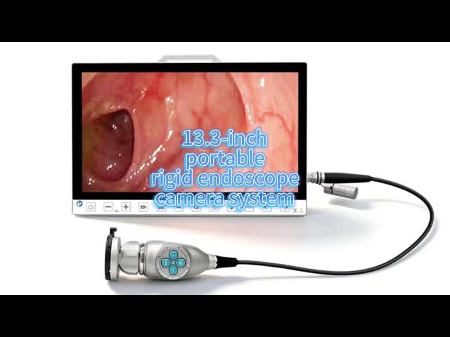 Portable 13.3 Inch 1080P Endoscopy Camera System With Recorder for Laparoscopy ENT Surgery