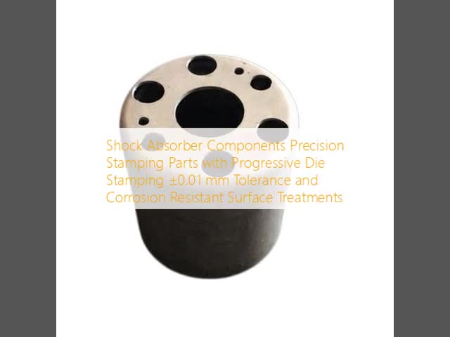 Shock Absorber Components Precision Stamping Parts with Progressive Die Stamping ±0.01 mm Tolerance and Corrosion Resistant Surface Treatments