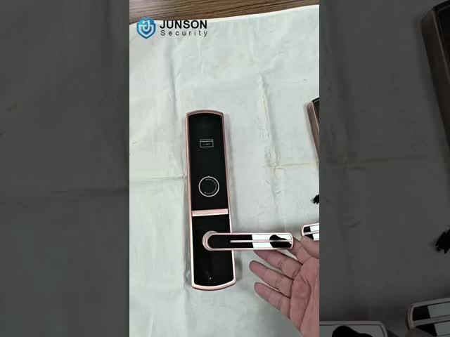 Zinc Alloy Plating RFID Hotel Lock with 125KHz / 13.56MHz Card Access and Low Battery Warning