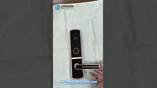Zinc Alloy Plating RFID Hotel Lock with 125KHz / 13.56MHz Card Access and Low Battery Warning
