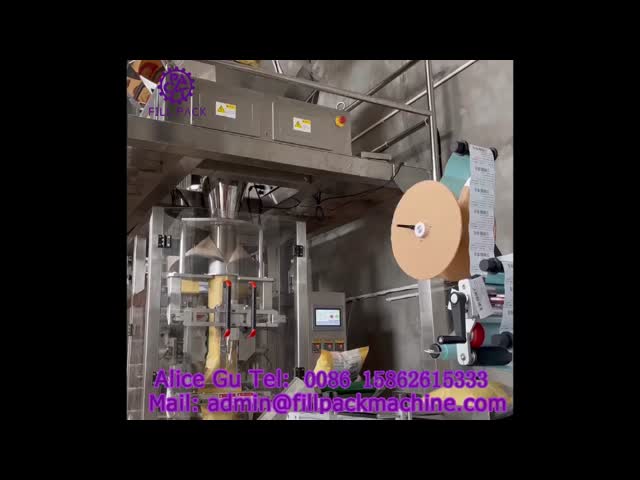 2281 J125 Vertical Film-Winding Bag-Making Back-Sealing Nut Packaging Machine