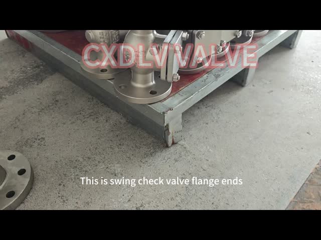 Horizontal 6 Inch Horizontal Stainless Steel Swing Check Valve