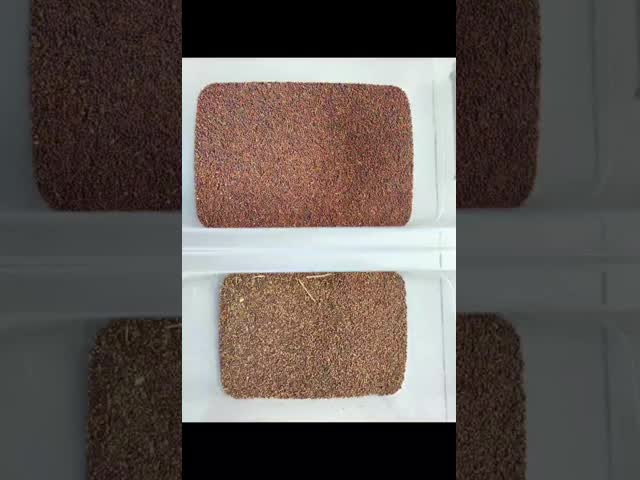 32-Channel Small Intelligent Radish Seed Color Sorter