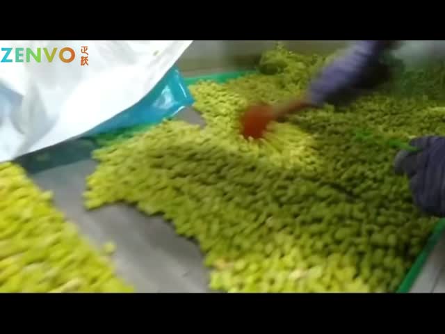 Fresh Edamame Small Belt Type Color Sorter with Ai.