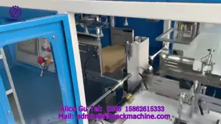 2314 P6 Automatic Carton Folding Machine