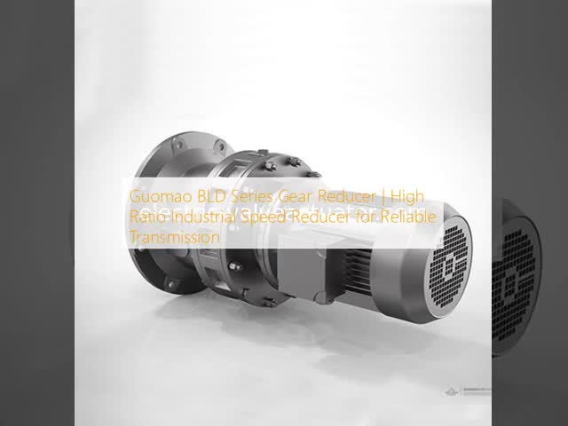 Guomao BLD Gear Reducer 110kW High Efficiency Power Solution