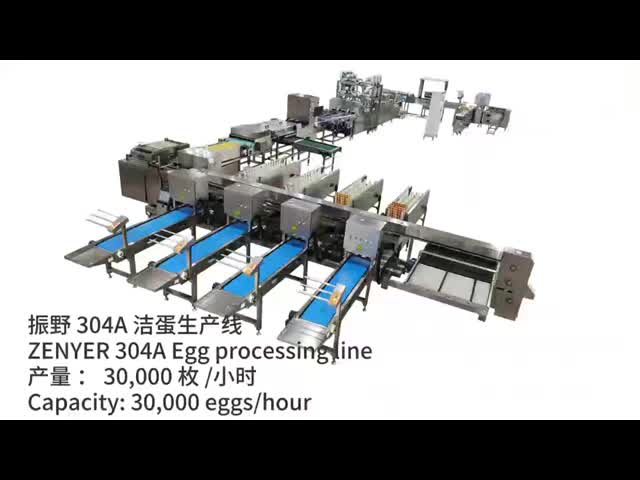 Egg Washing Grading Packing Machine Durable Large-Scale for Farm Processing Equipment