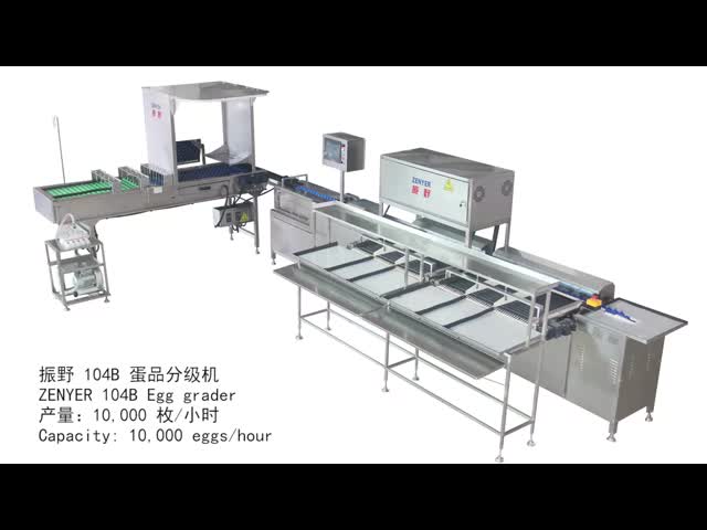 10,000 Eggs/hour Stainless Steel Egg Grading Sorting Machine From China