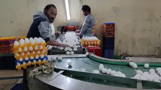 30,000 Eggs/hour LED Candling Electronic Egg Grading Sorting Machine